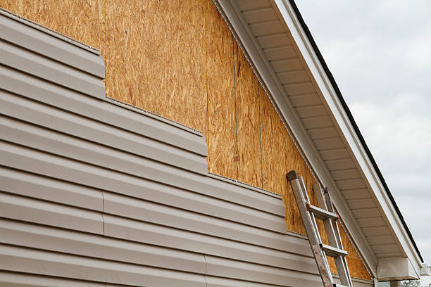 Professional Siding Inspection technician working in Rising Sun, IN